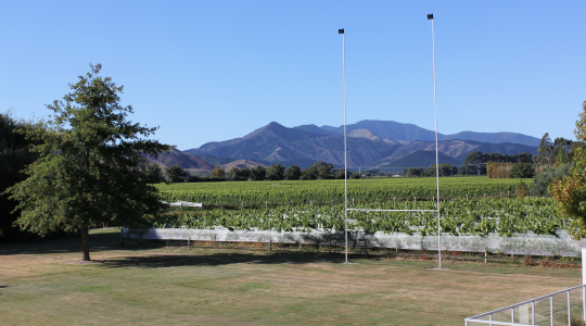 Stump Creek Vineyard image