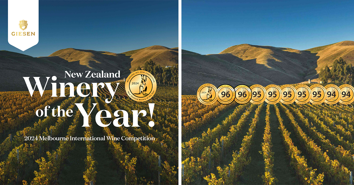 New Zealand Winery Of The Year Winner 2024 Giesen Wines Official Site New Zealand Winery Of The Year Winner 2024 Giesen Wines Official Site